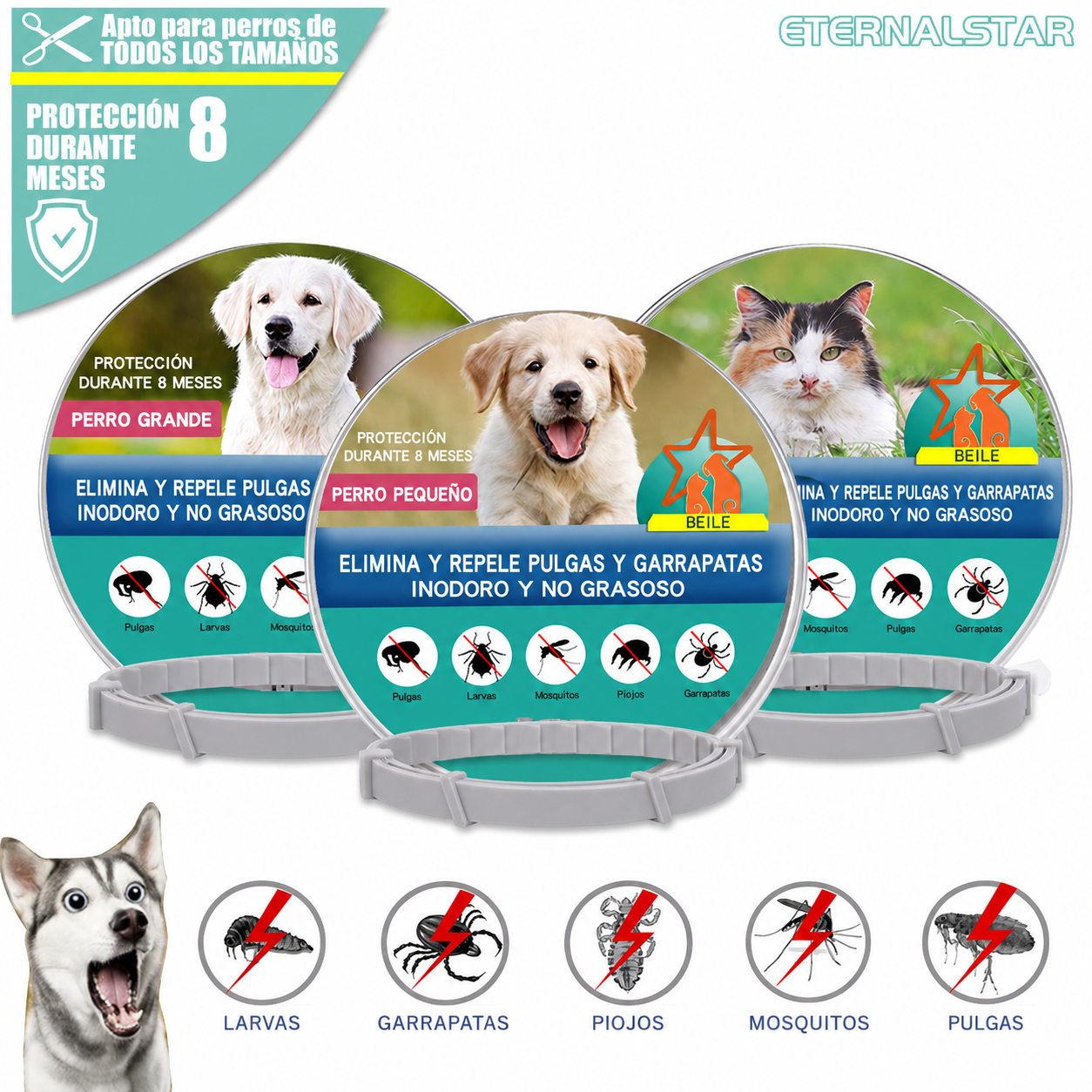 Collar antipulgas perros y gatos | Protege a tu mascota lo mejor posible
