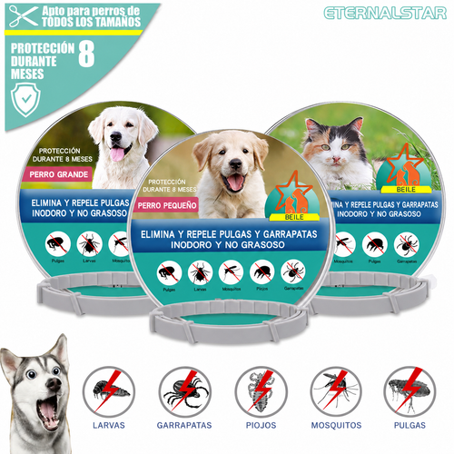 Collar antipulgas perros y gatos | Protege a tu mascota lo mejor posible