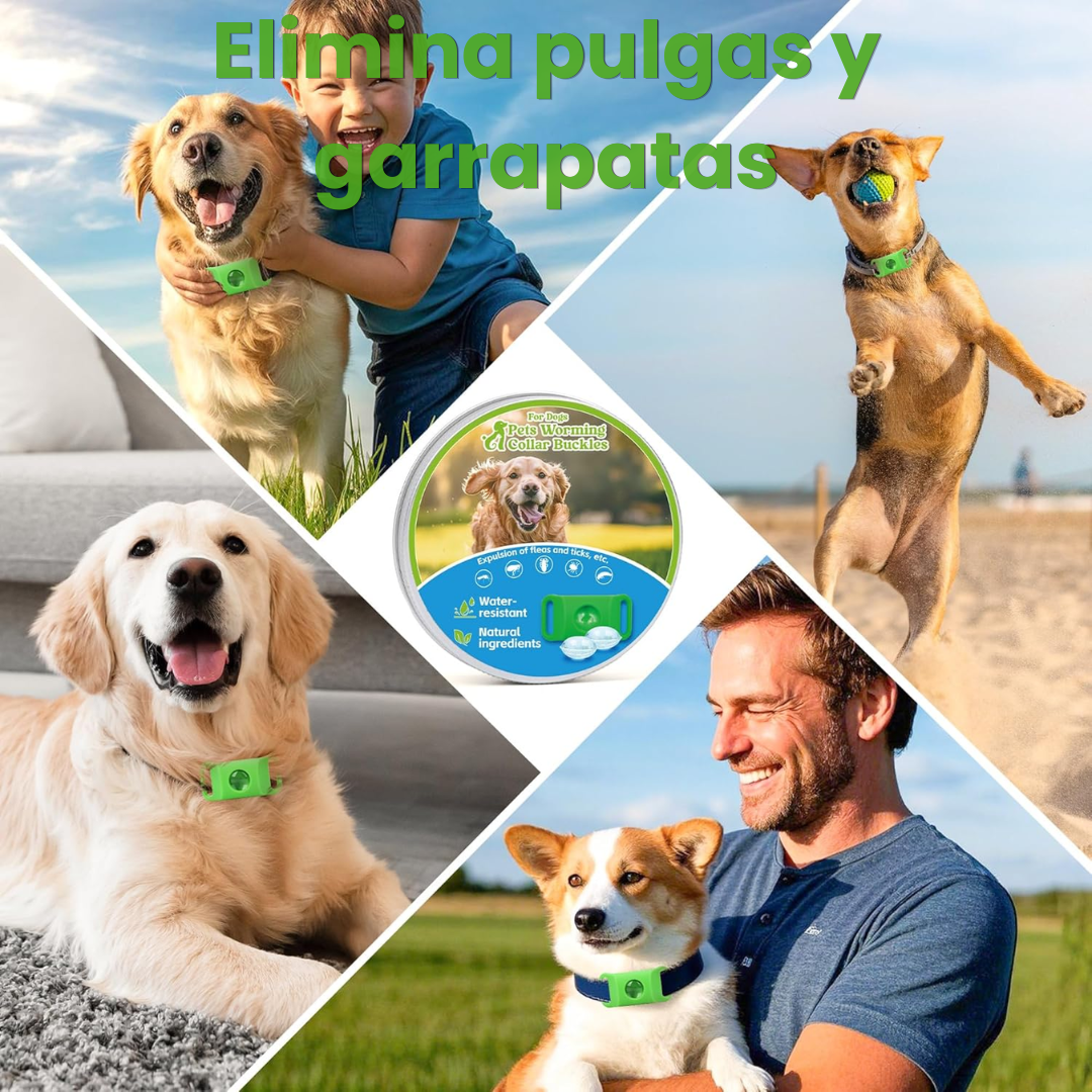 PetAura | Protege a tu mascota sin químicos