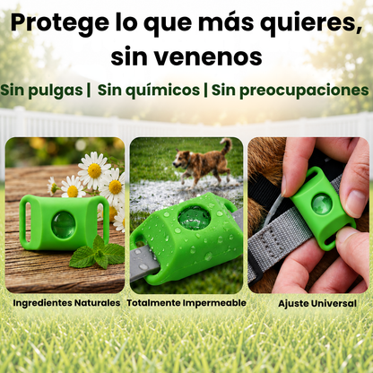 PetAura | Protege a tu mascota sin químicos