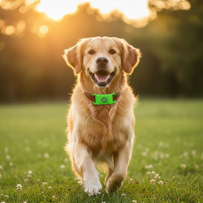 PetAura | Protege a tu mascota sin químicos