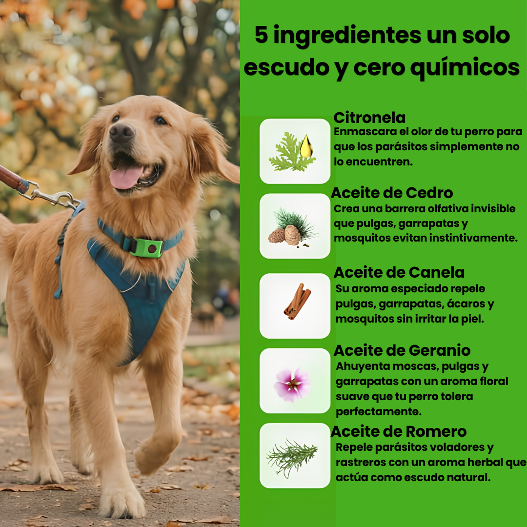 PetAura | Protege a tu mascota sin químicos