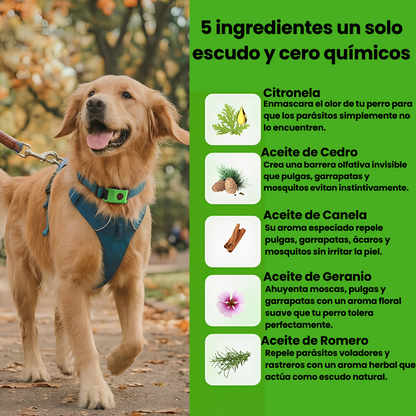 PetAura | Protege a tu mascota sin químicos