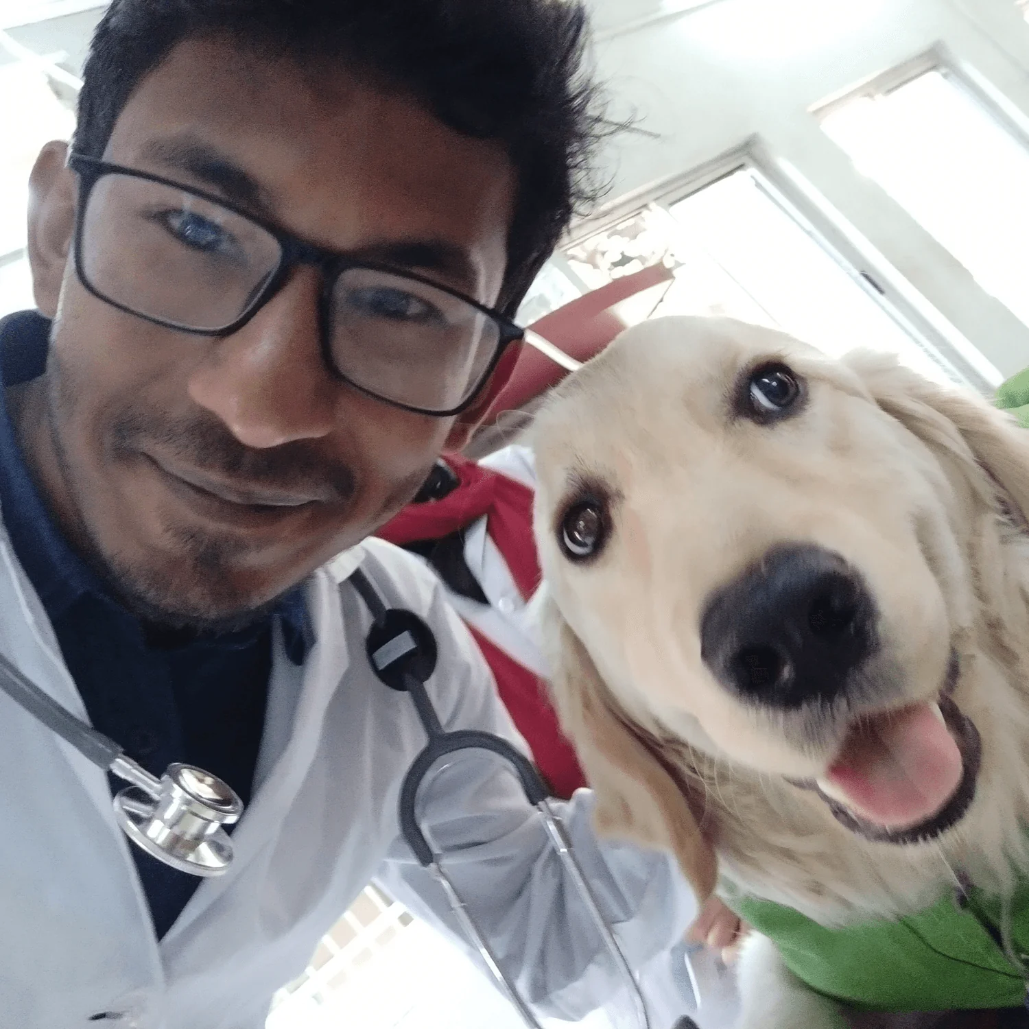 files/imgi_16_furlife_doc_1.png